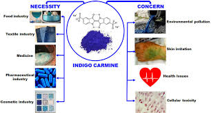 Indigo Carmine